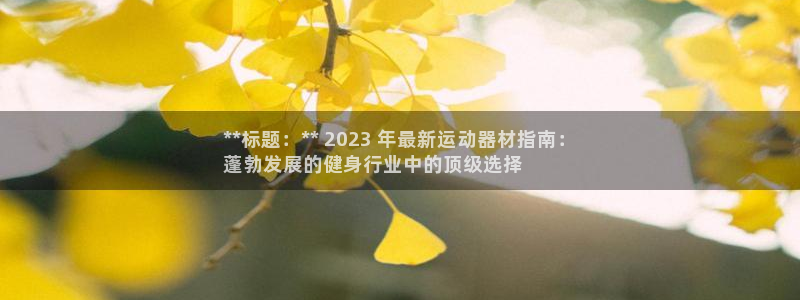 耀世是什么游戏里的人物：**标题：** 2023 年