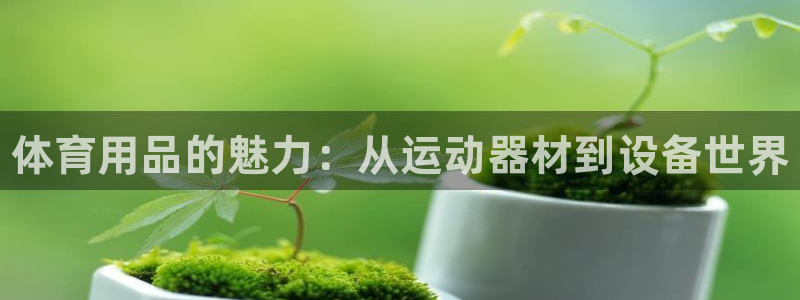 耀世集团视频直播是真的吗:体育用品的魅力:从运动器材到设备世